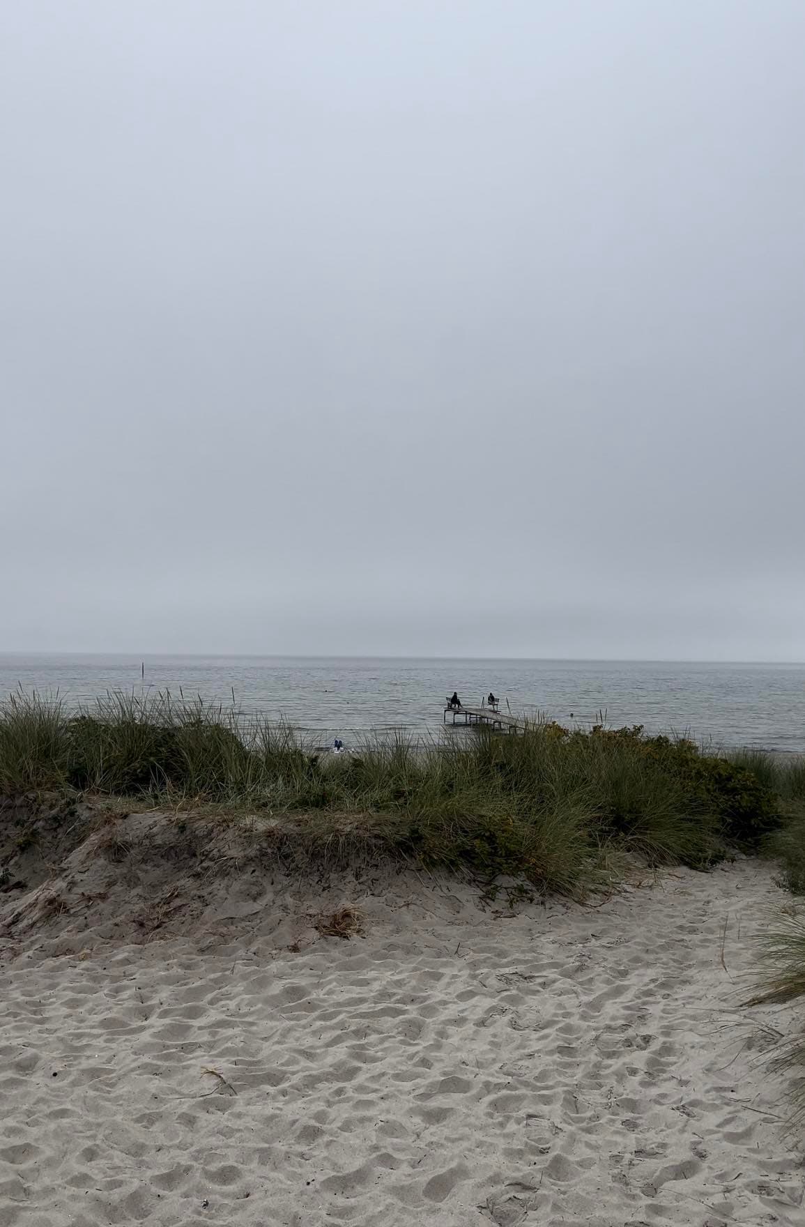 Gallery media #3